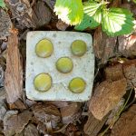 Betonstein mit Glassteinen